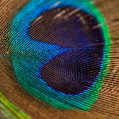 Is It Well with Your Soul? (arr. J. Randolph Hall)