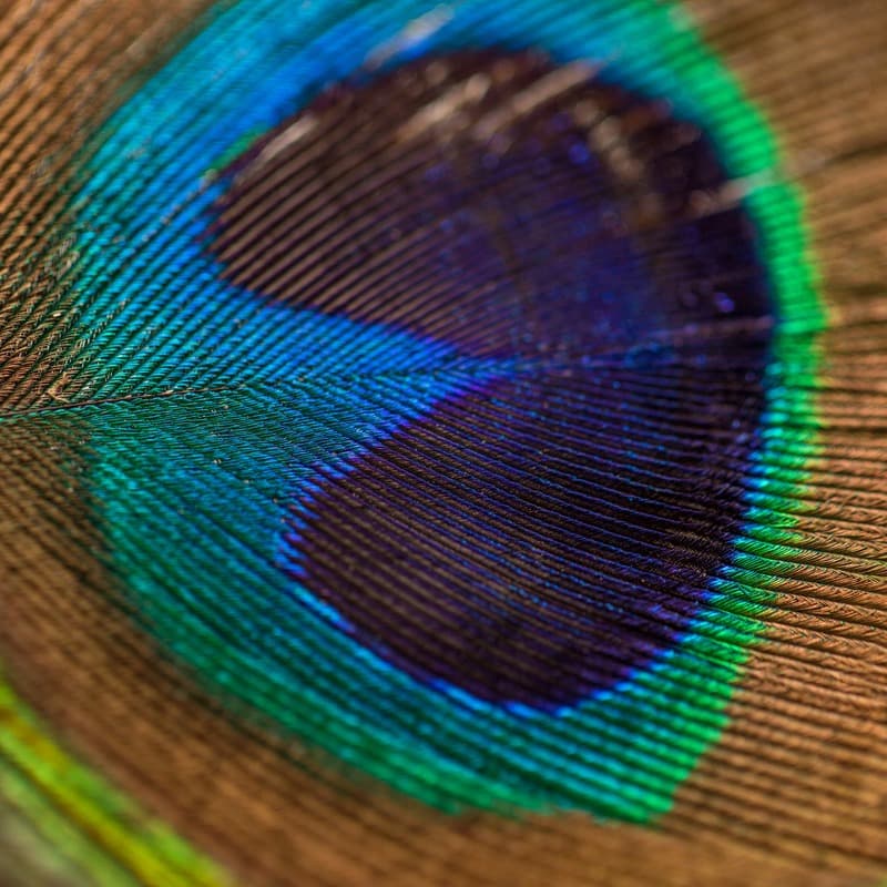 Is It Well with Your Soul? (arr. J. Randolph Hall)