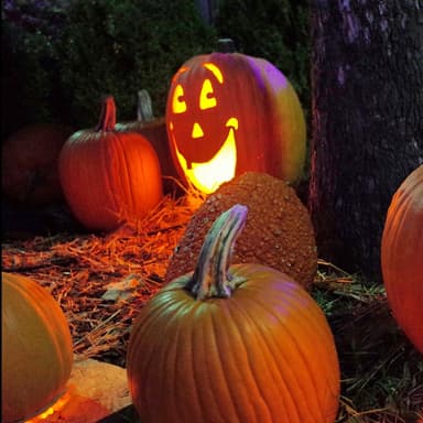 Five Little Pumpkins