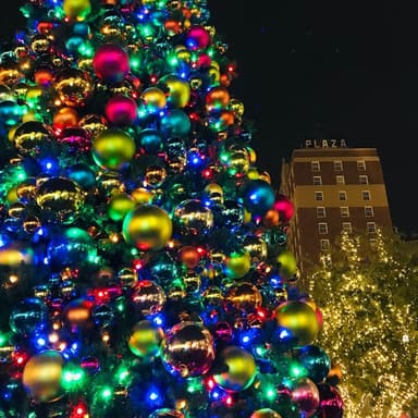 We Wish You A Merry Christmas (arr. Dominic Meccia)