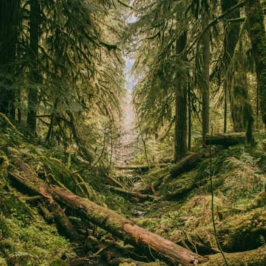 Over The River And Through The Woods (arr. Dominic Meccia)
