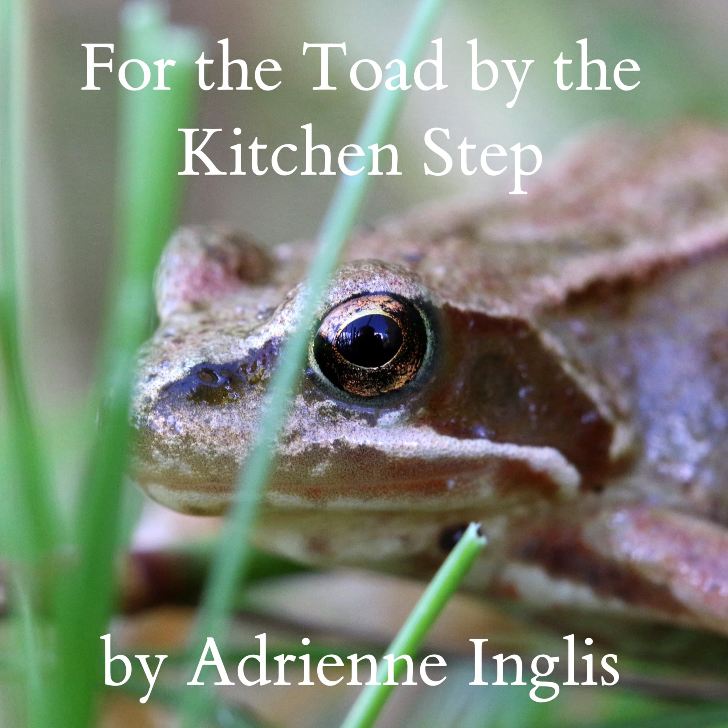 For the Toad by the Kitchen Step by Adrienne Inglis for SATB chorus, organ, nature soundtrack