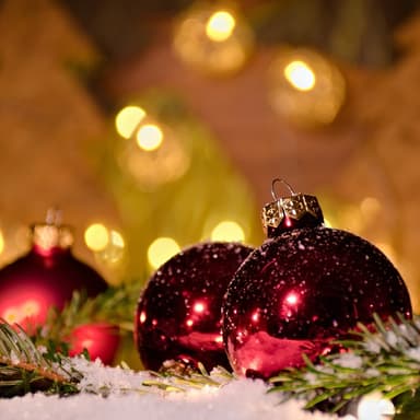 The Last Month Of The Year (What Month Was Jesus Born In?) (arr. Dominic Meccia)