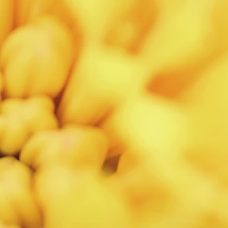 Just The Way You Are (arr. J. Randolph Hall)