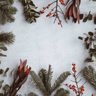 Joy To The World (arr. Dominic Meccia)