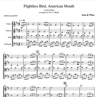 Flightless Bird, American Mouth (arr. Eve C. Mailly - Zene Strings)