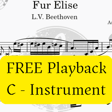 For Elise (Beethoven) + FREE Mp3 Playback + PDF Solo and Piano Parts (arr. Fabio Eduardo de Oliveira)