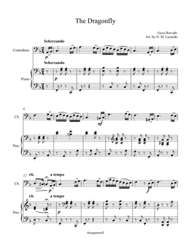 The Dragonfly (arr. Nick Lacanski)