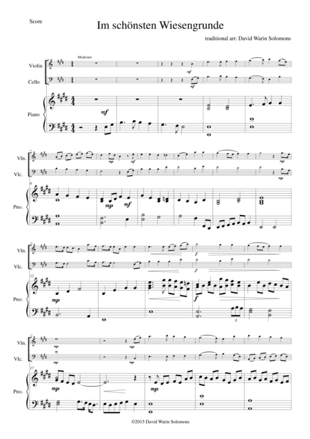Im schönsten Wiesengrunde for violin, cello and piano (arr. David Warin Solomons)