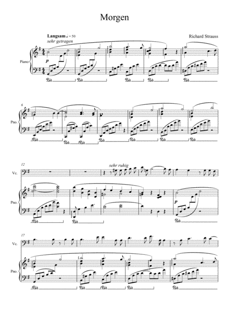 Richard Strauss - Morgen (Violoncello Solo) (arr. André Laitano)
