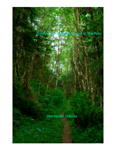 Running In A Weeping Forest In The Rain