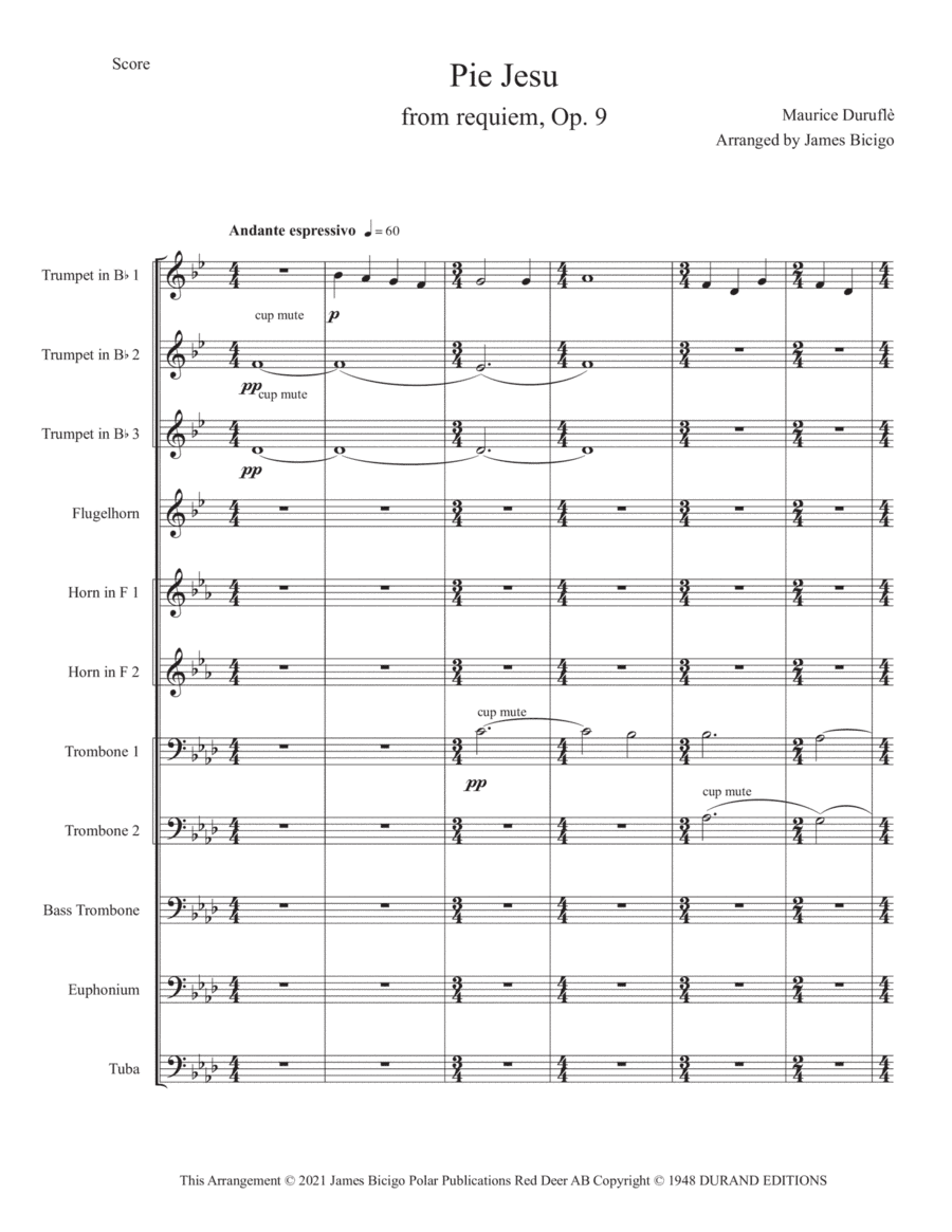 Pie Jesu (op 9) (arr. James Bicigo)