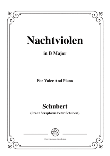 Schubert-Nachtviolen in B Major,for voice and piano (arr. MSM)