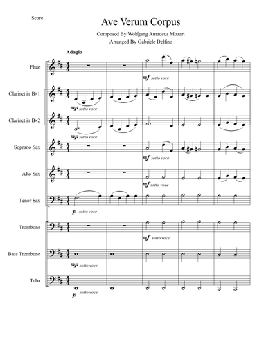 Ave Verum Corpus (arr. Gabriele Delfino)