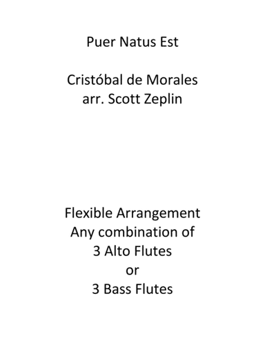 Puer Natus Est (arr. Scott Zeplin)