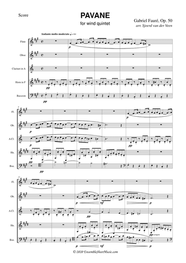 Pavane, op. 50 (arr. Sjoerd van der Veen)