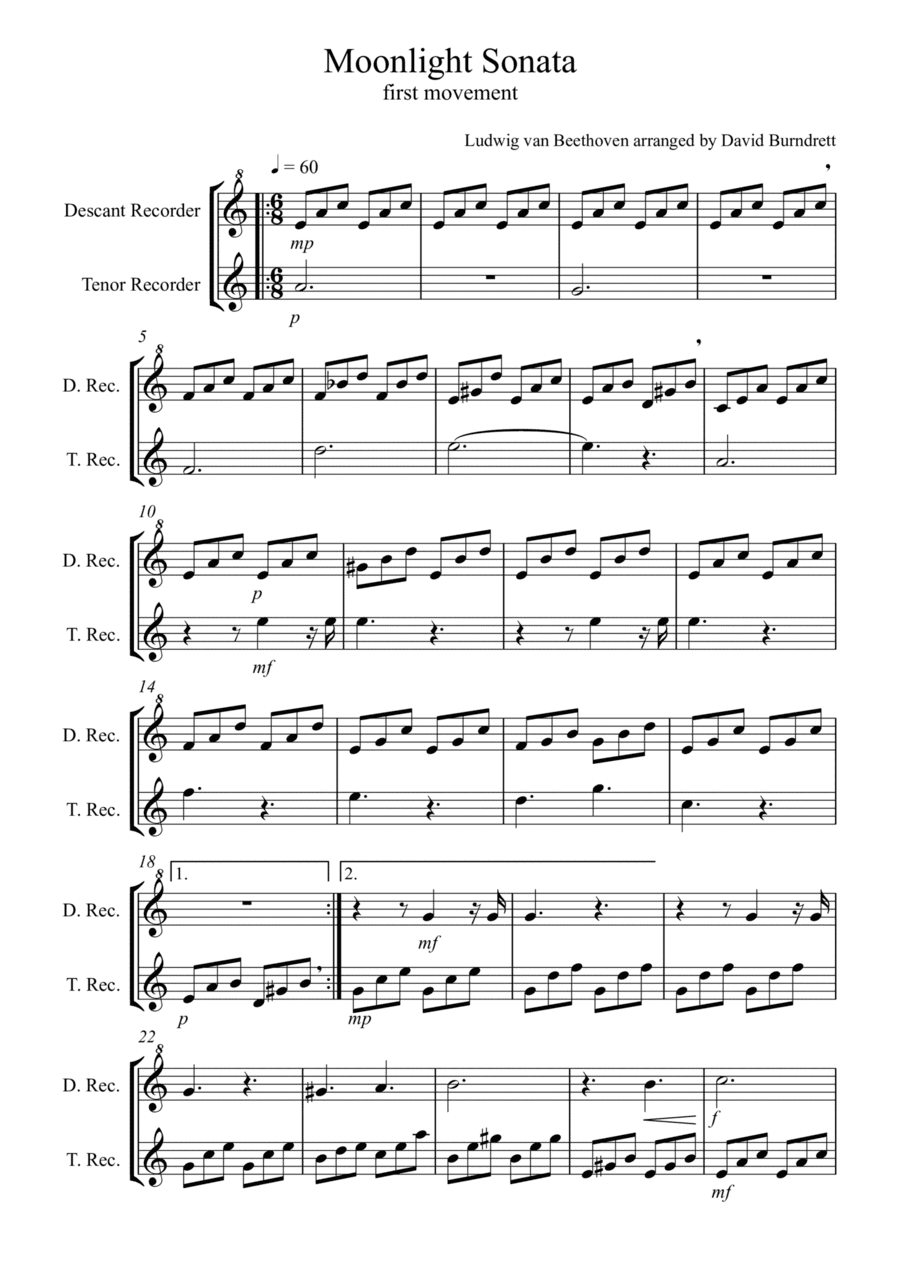 Moonlight Sonata for Recorder Duet (arr. David Burndrett)