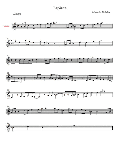 A song that starts with the enitire A minor scale : Capisce , Violin Solo