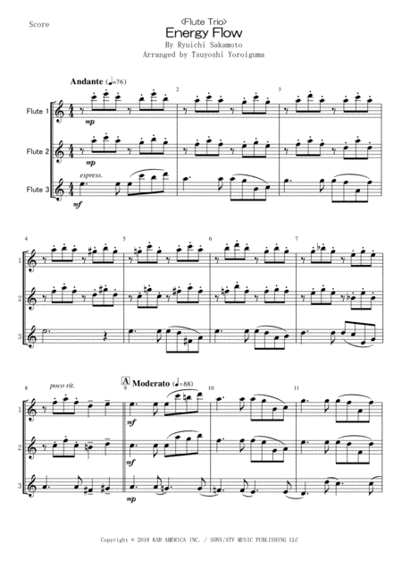 Energy Flow (arr. Tsuyoshi Yoroiguma)