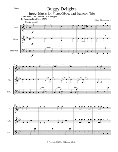 Buggy Delights for Flute, Oboe, and Bassoon Trio (arr. John Gibson)