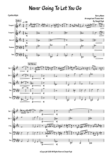 Never Gonna Let You Go (arr. Joseph Pugh)