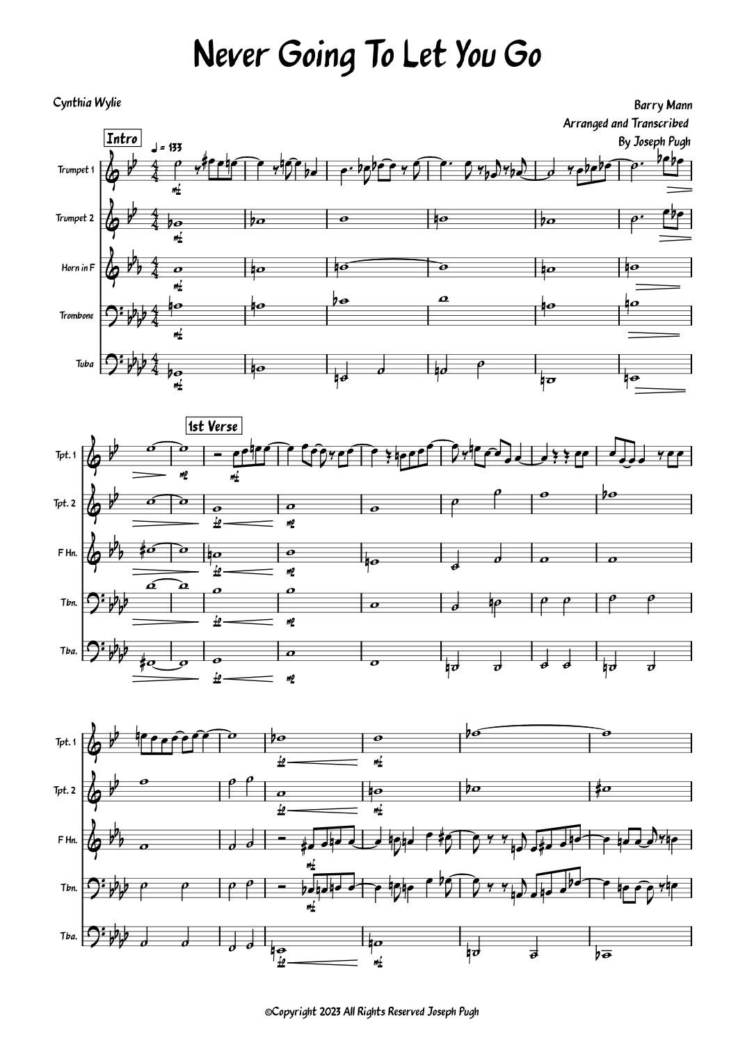 Never Gonna Let You Go (arr. Joseph Pugh)