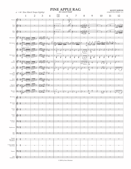 Joplin:  Pine Apple Rag for Concert Band (arr. Reisteter) (arr. Steve Reisteter)