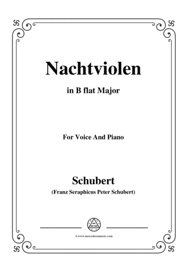 Schubert-Nachtviolen in B flat Major,for voice and piano (arr. MSM)