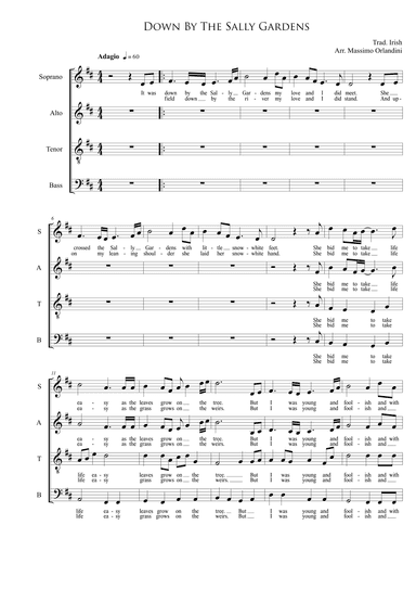 Down by the Sally Gardens (arr. Massimo Orlandini)