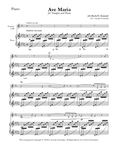 Ave Maria (arr. Sueudo Fernandes)