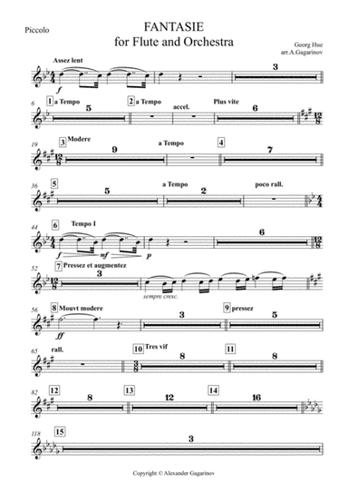 Fantasie for Flute & Symphony Orchestra (arr.) Set of Parts (arr. Alexander Gagarinov)