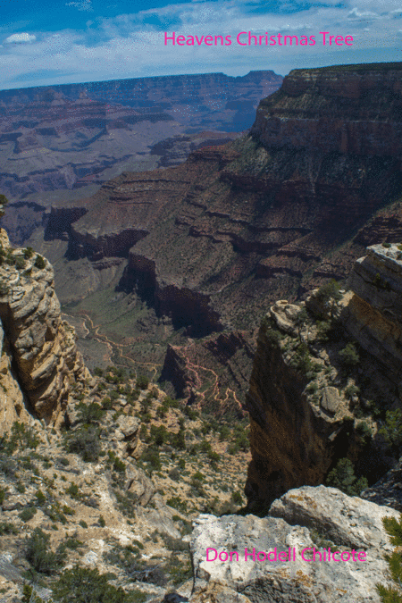Heavens Christmas Tree (arr. Don Hodell Chilcote)