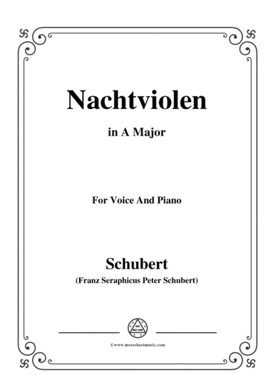 Schubert-Nachtviolen in A Major,for voice and piano (arr. MSM)