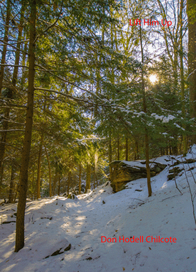 Lift Him Up - Gospel