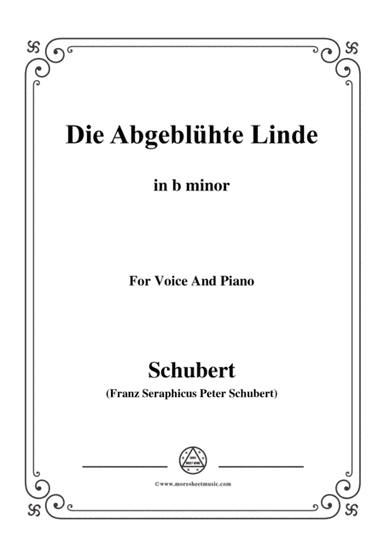 Schubert-Die Abgeblühte Linde(The Faded Linden Tree),Op.7 No.1,in b minor,for Voice&Pno (arr. MSM)