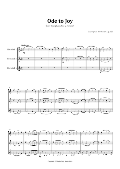 Ode to Joy by Beethoven for French Horn Trio (arr. Ander)