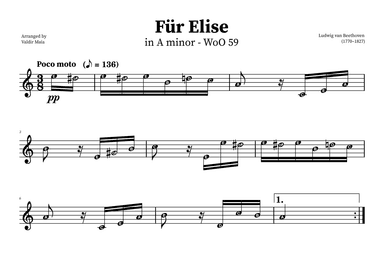 Fur Elise | WITH NOTE NAMES (arr. Valdir Maia)