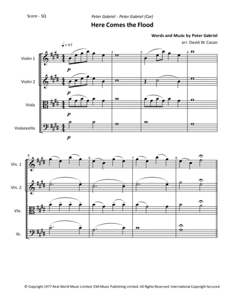 Here Comes The Flood (arr. David W. Cason)