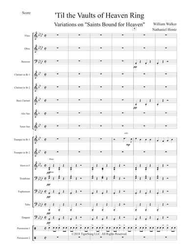 'Til the Vaults of Heaven Ring: Variations on "Saints Bound for Heaven" (arr. Nathaniel Hontz)