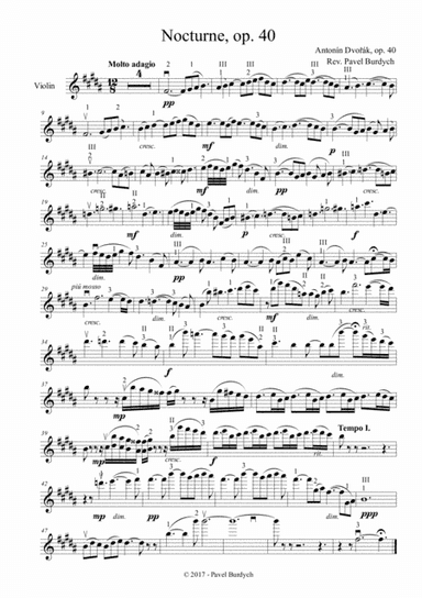 Nocturne, op. 40 (arr. Pavel Burdych)