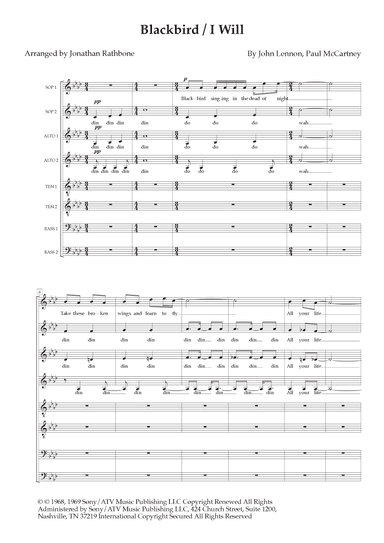 Blackbird (arr. Jonathan Rathbone)