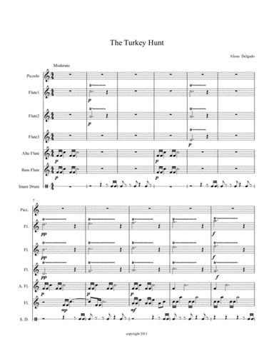 The Turkey Hunt