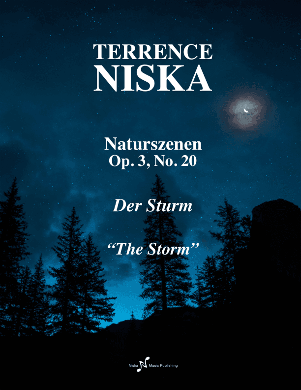 Naturszenen Op. 3, No. 20 "Der Sturm"