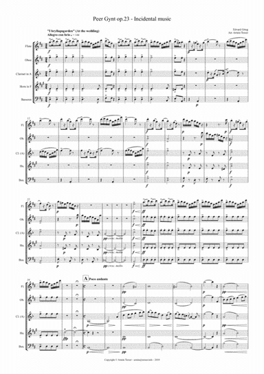 Peer Gynt (arr. Armin Terzer)