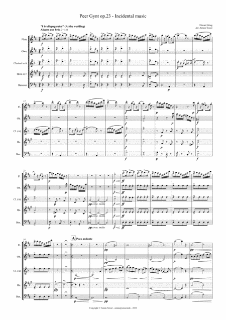 Peer Gynt (arr. Armin Terzer)