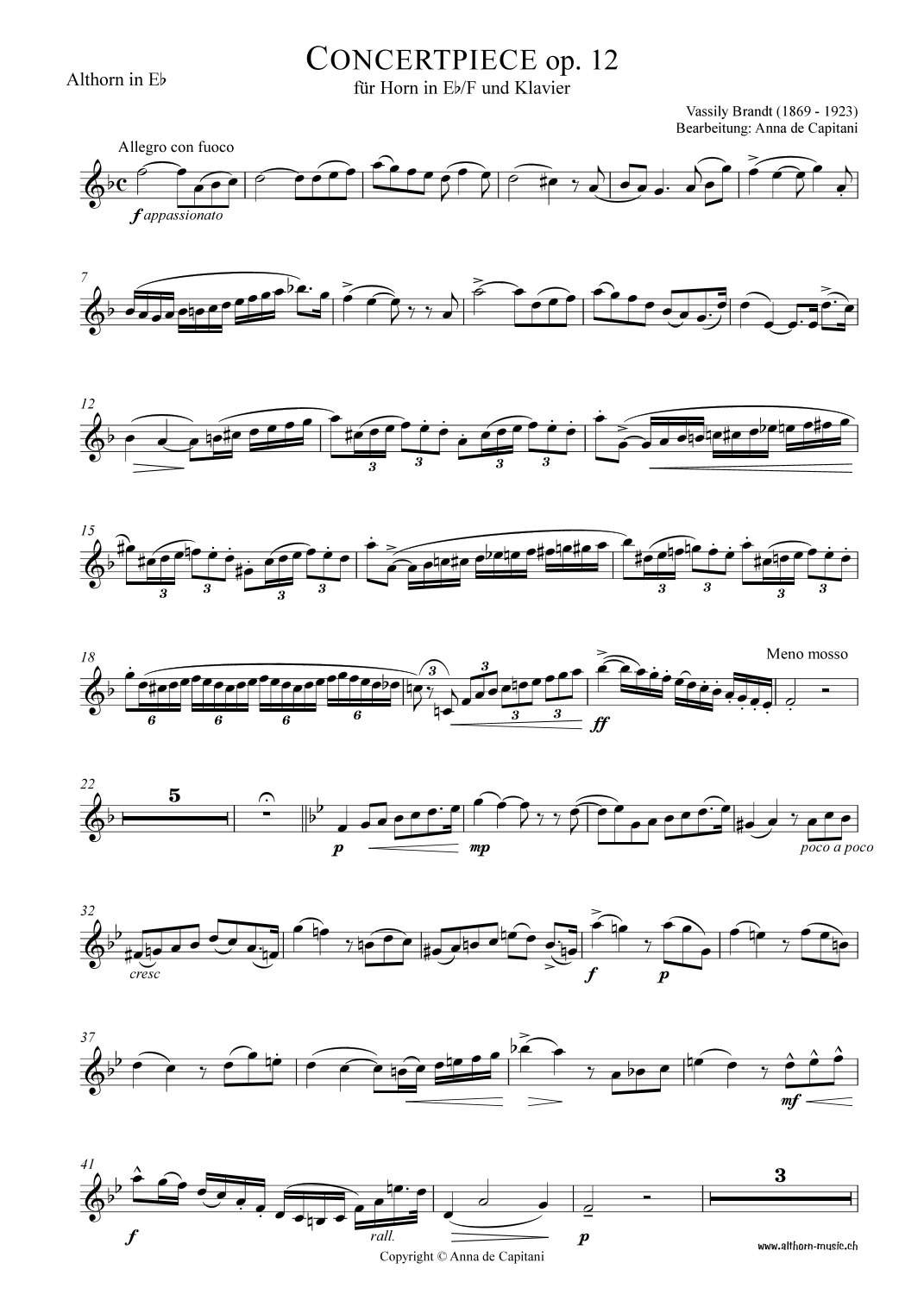 Concertpiece (arr. Anna de Capitani)