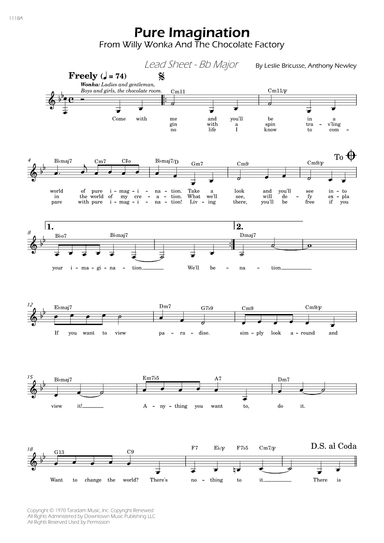 Pure Imagination (arr. César Madeira)