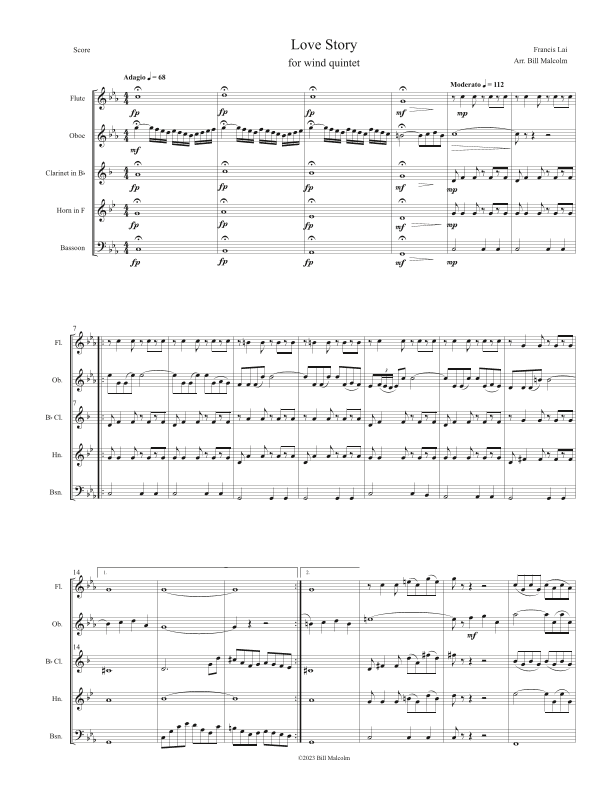 Love Story (arr. Bill Malcolm)