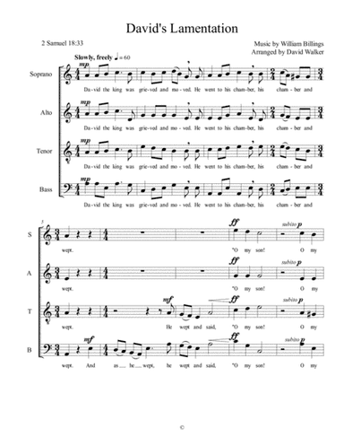 David's Lamentation (arr. David Walker)