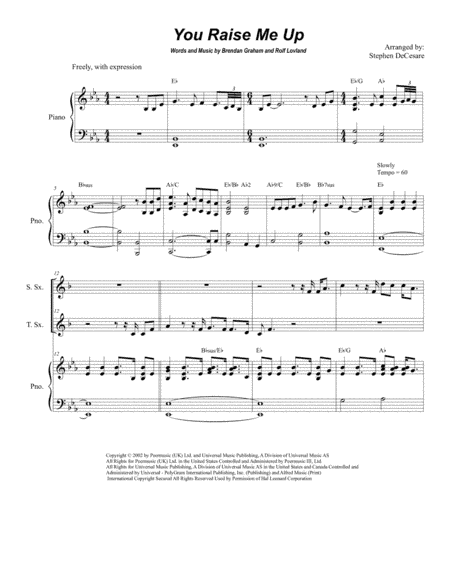 You Raise Me Up (arr. Stephen DeCesare)